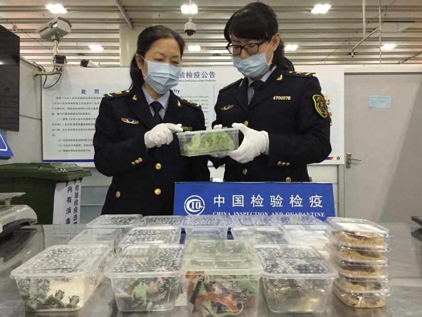 图片名
